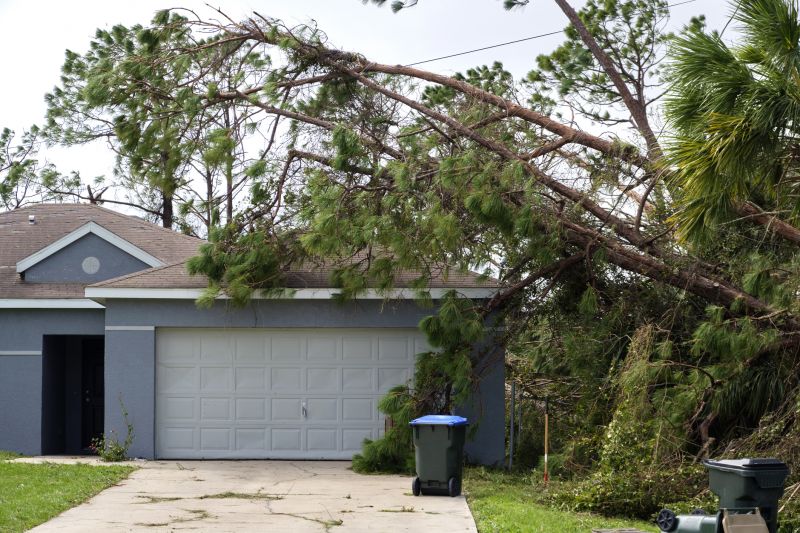 Tree Blocking Driveway